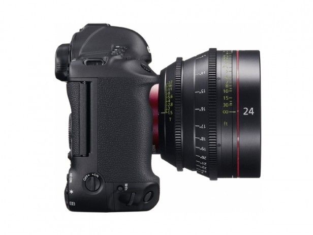 canon_eos1dc_right