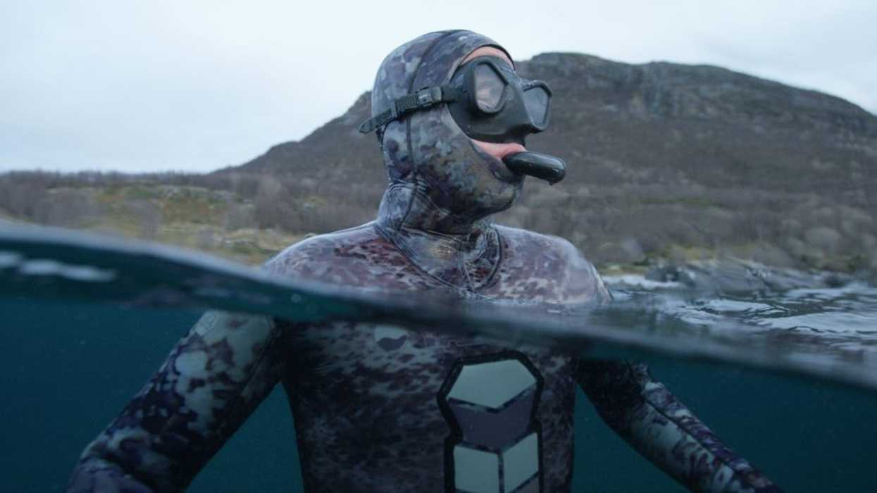 101_secretsofthewhales_009-1024x540