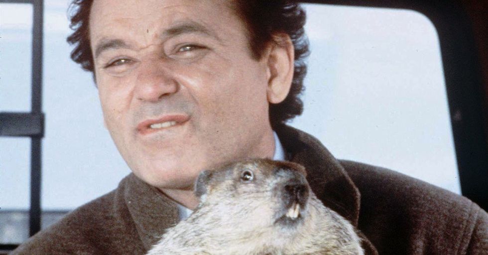 19groundhogday4-facebookjumbo