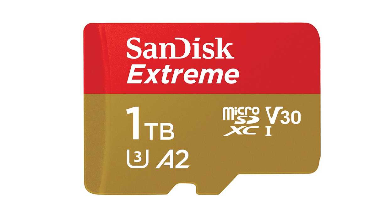 1TB MicroSD