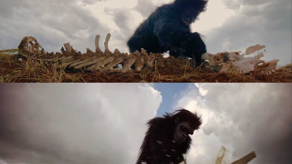 2001_comparison_crop