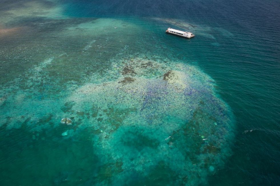 25-coral-bleaching-in-new-caledonia