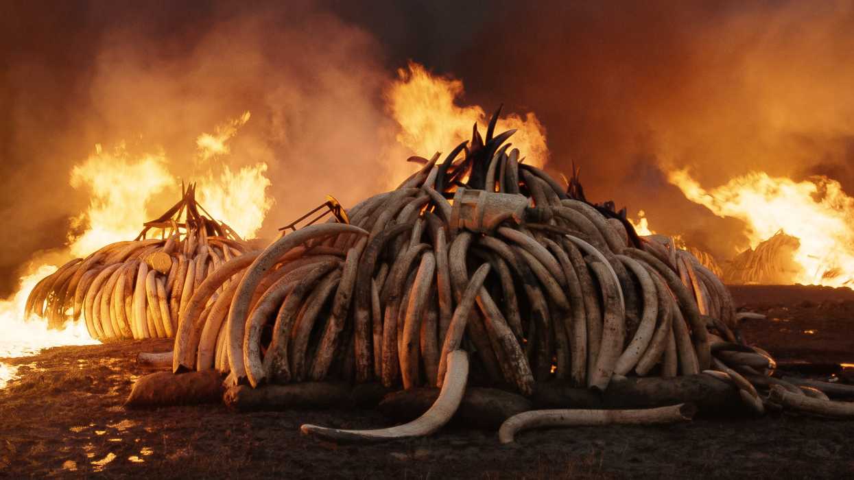 30_film_still_tusk_burn_0