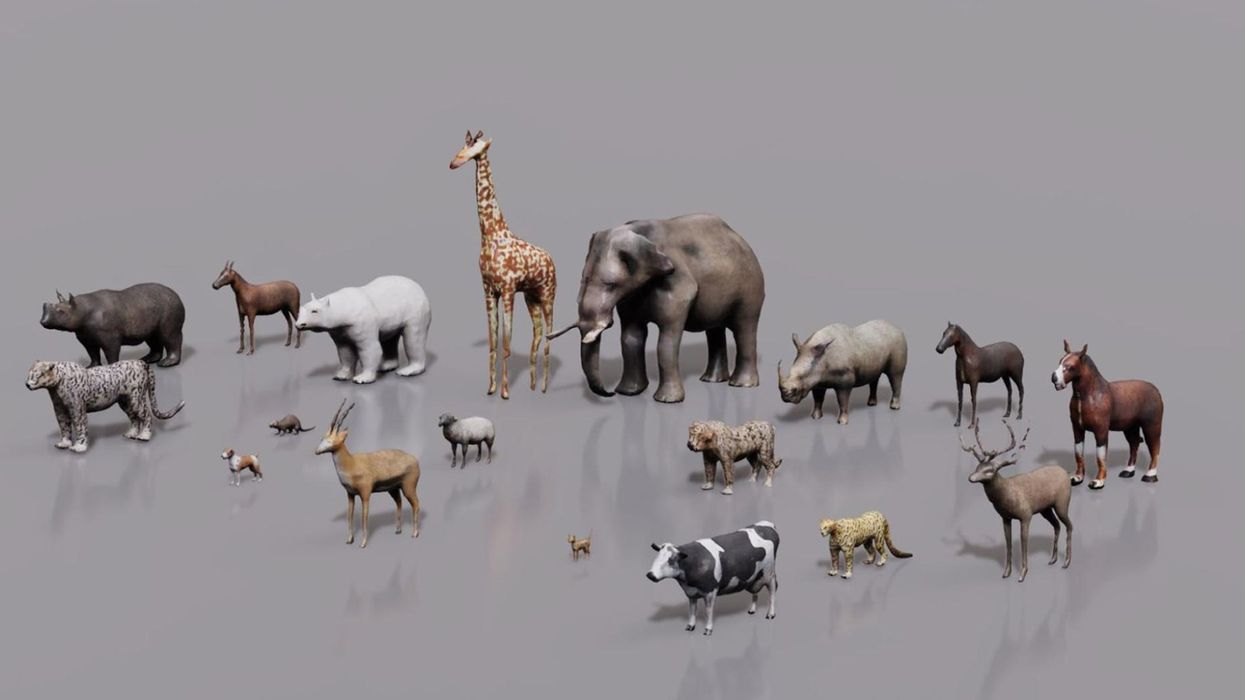 You can now video record Google's 3D animals and objects