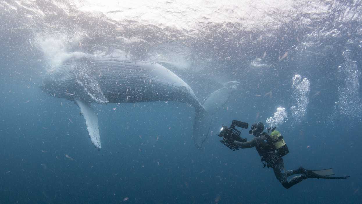4280c156-dba1-418c-9e70-eabe3640d2be-ourplanet_highseas_21_stevebenjamin
