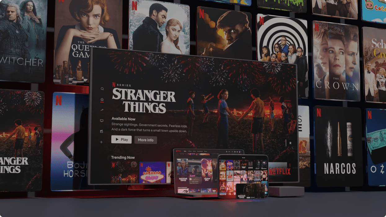 43e0db2f-fea0-4308-bfb9-09f2a88f6ee4_what_is_netflix_1_en