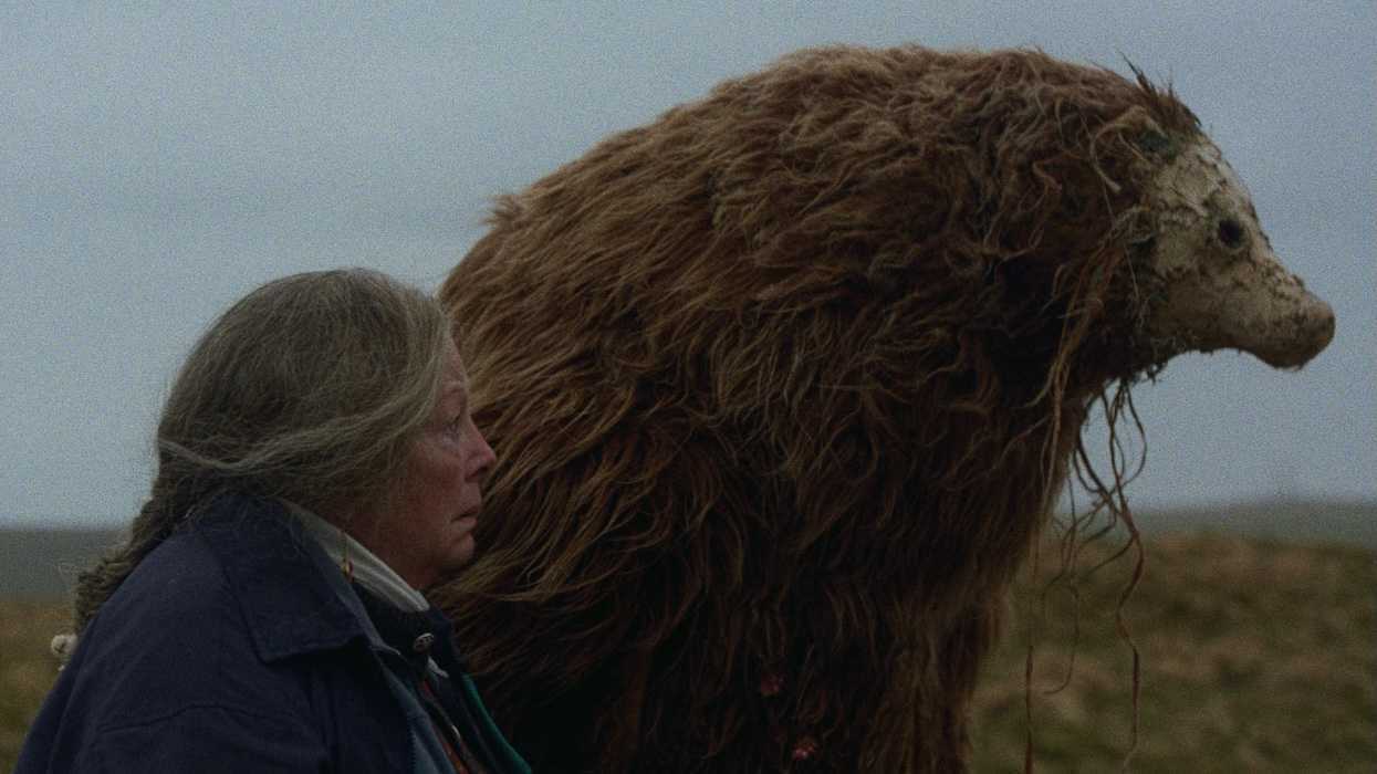 A Bear Remembers