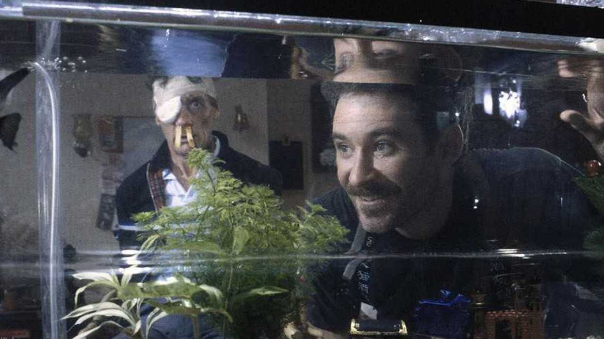 'A Fish Called Wanda'
