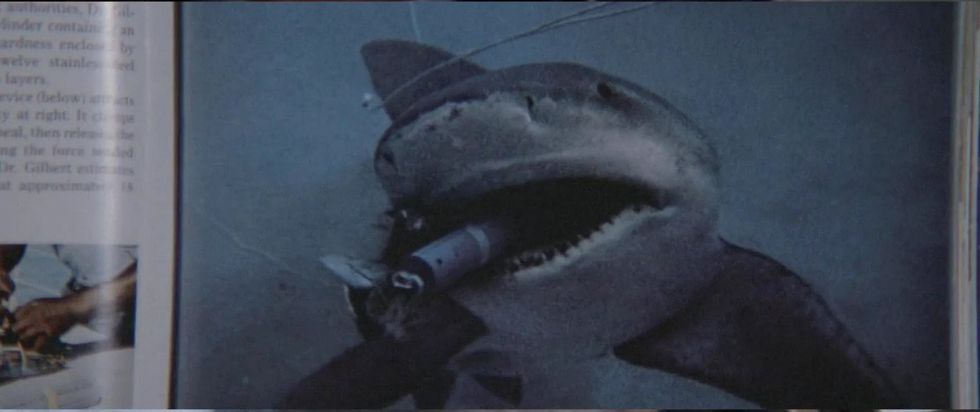 A picture of a shark in a magazine in 'Jaws'