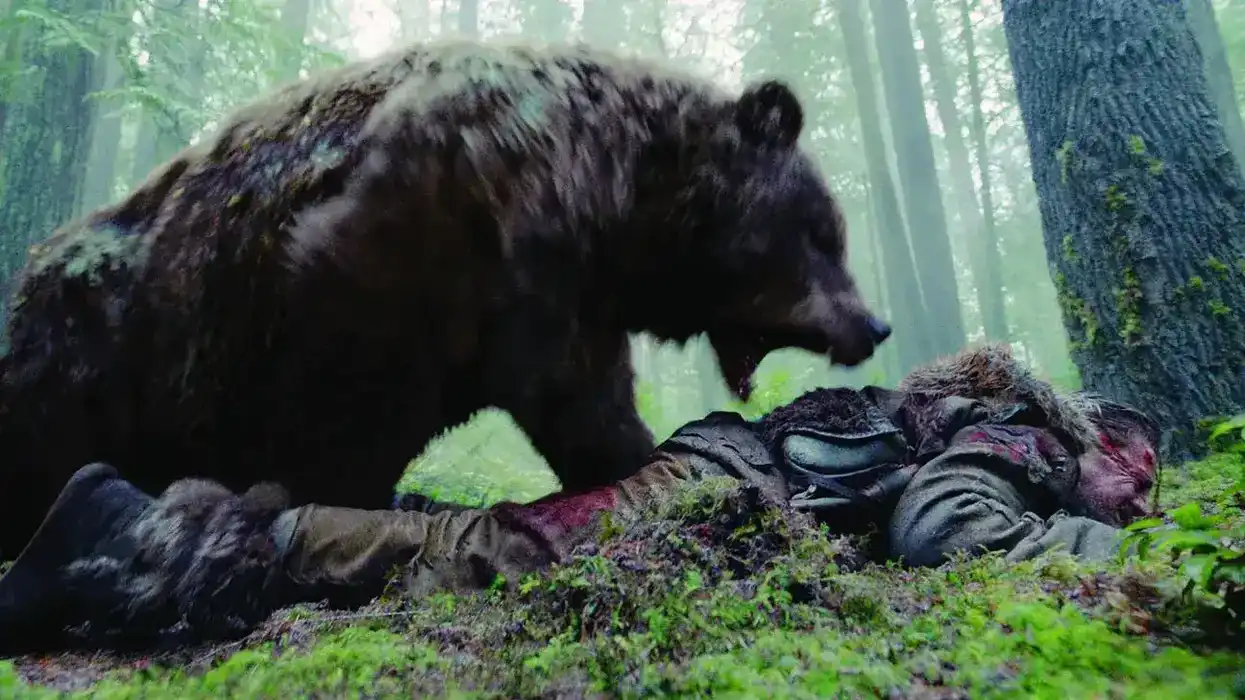 A scene from the 2015 film The Revenant.