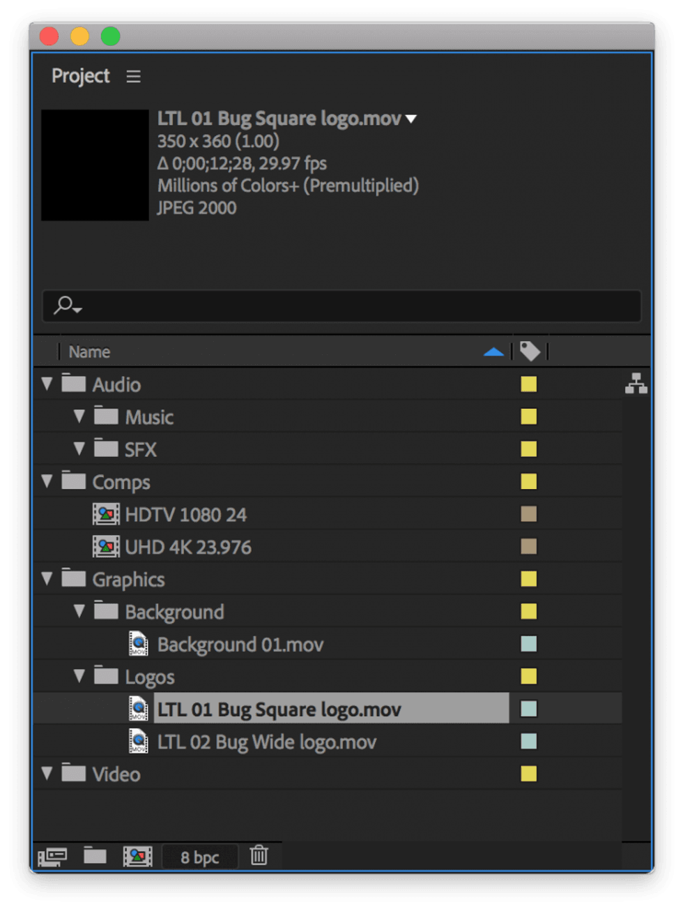 Adobe After Effects Project Panel