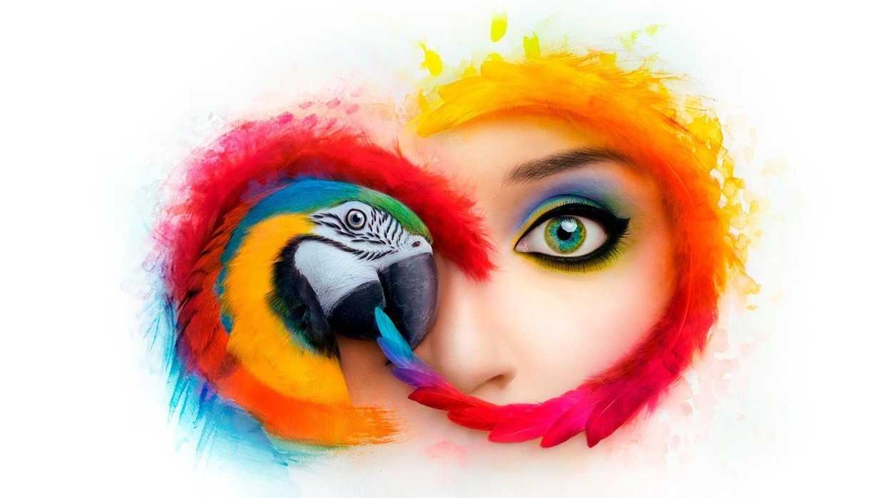 Adobe_cc