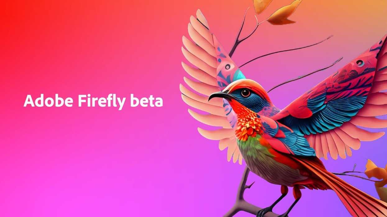 Adobe Will Pay You to Train AI WIth Your Videos