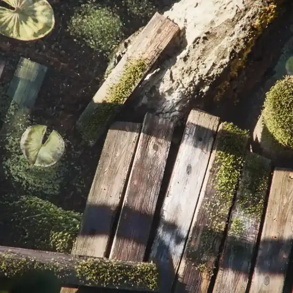 Adobe Substance 3D Updates