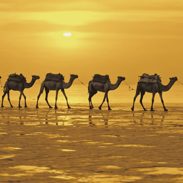 'Africa Unseen'