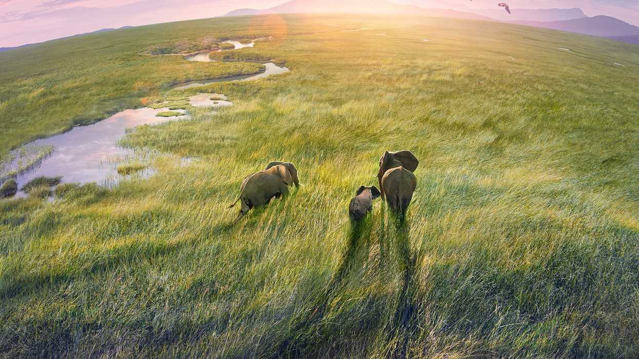 An Inside Look at Scoring 'Planet Earth III' with Sara Barone and Jacob Shea of Bleeding Fingers Music