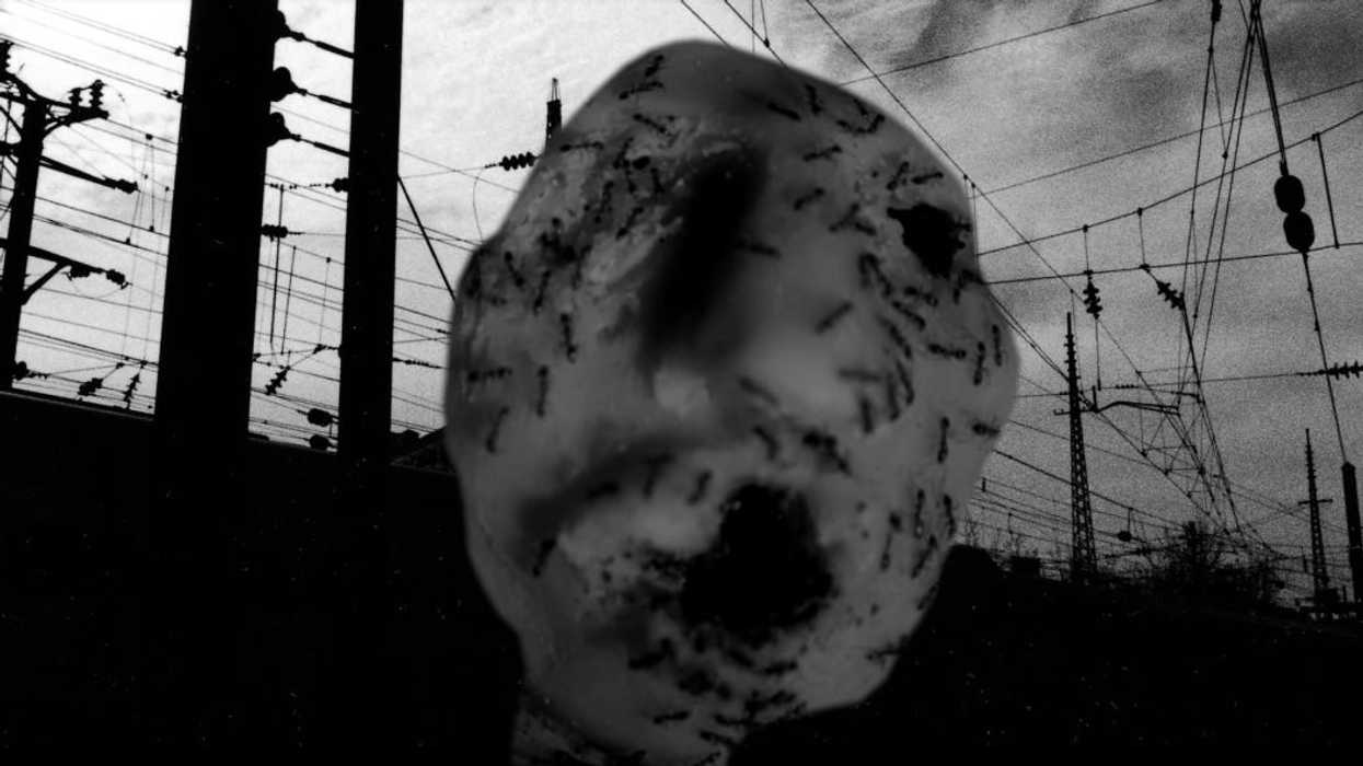 Ant_head_david_lynch_1050_591_81_s_c1