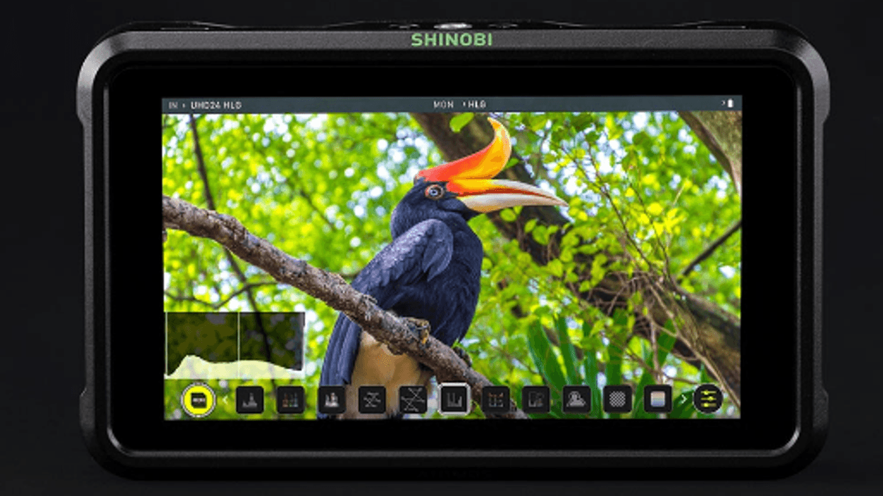 Atomos Shinobi