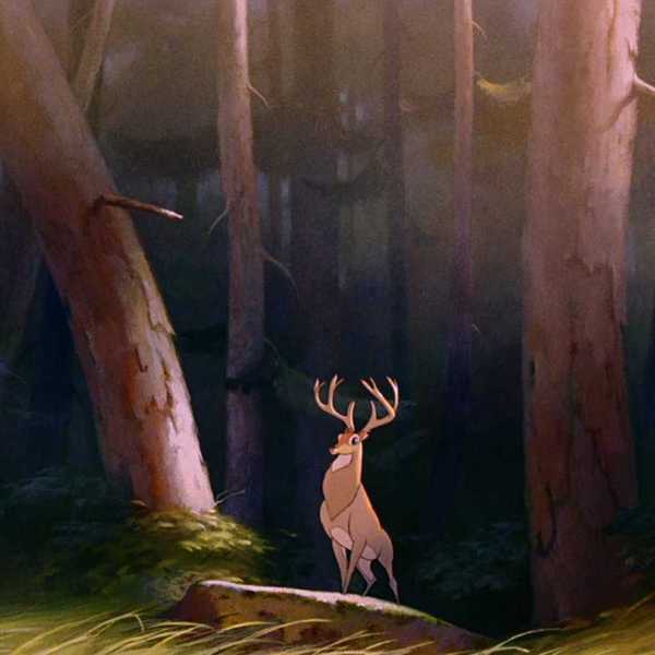 Bambi Prince of the Forest