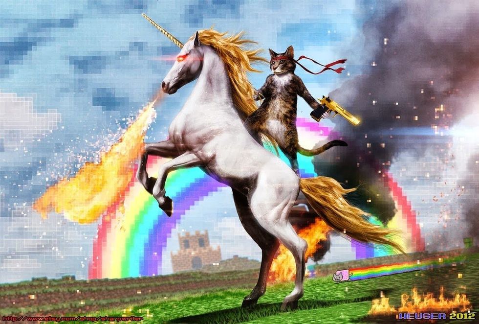 Best-picture-on-the-internet