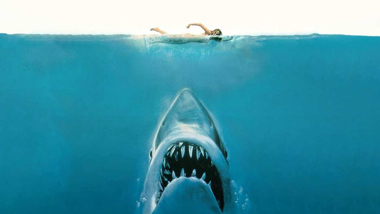 Bet You Didn’t Notice Jaws Has Almost No Shark in the First Half