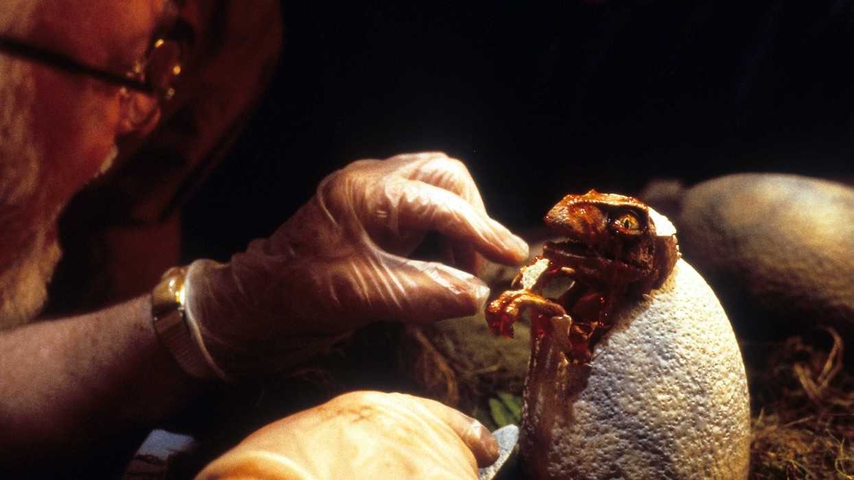 Beyond the Iconic Line: “Life Finds a Way” - Jurassic Park