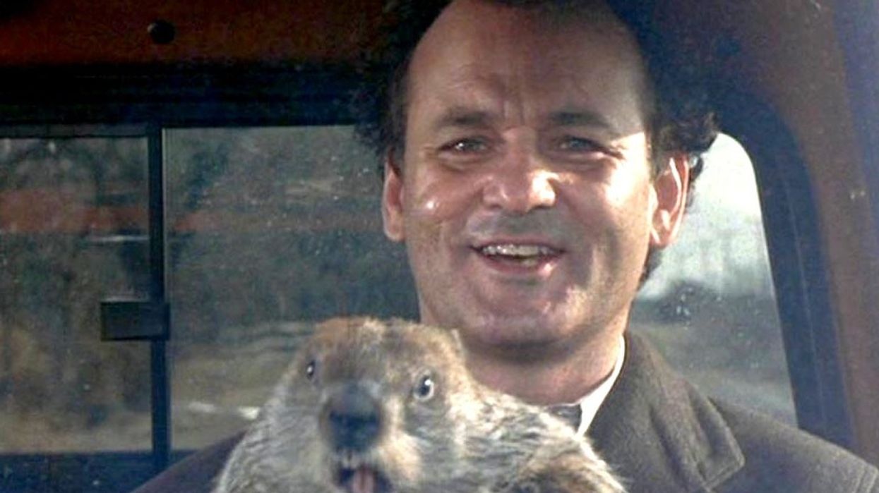 Bill Murray Groundhog Day Harold Ramis comedy no film school