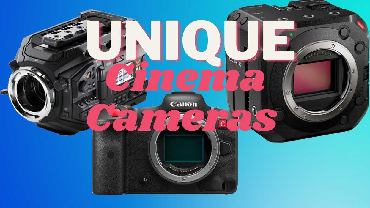 Blackmagic Design, Canon, and Panasonic camera brands.