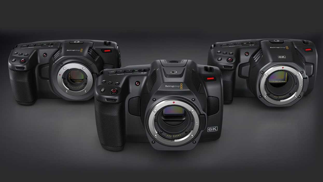 Bmd_pocket_family