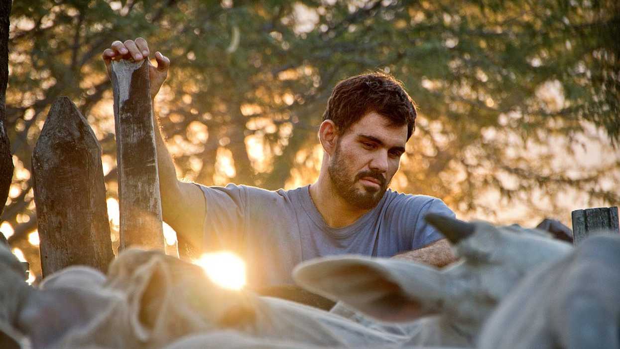 Body Politics in Gabriel Mascaro's 'Neon Bull'