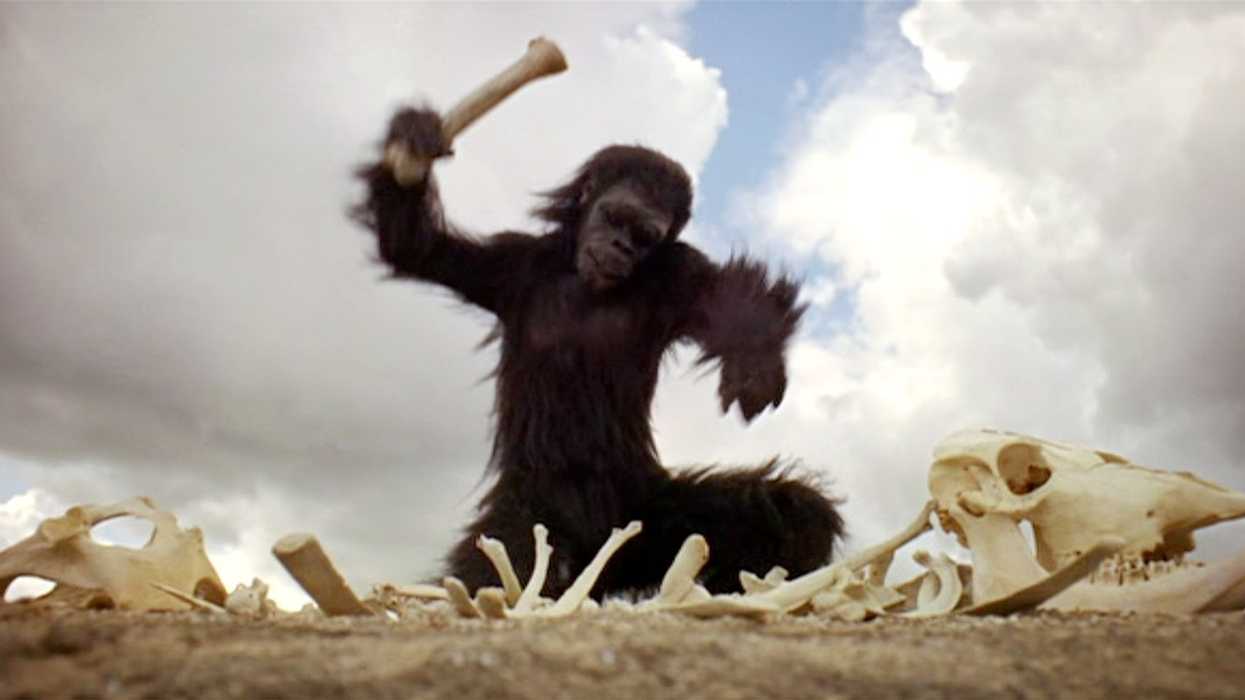 Bone club 2001 Space Odyssey 100 Greatest Movie Props No Film School Thrillist