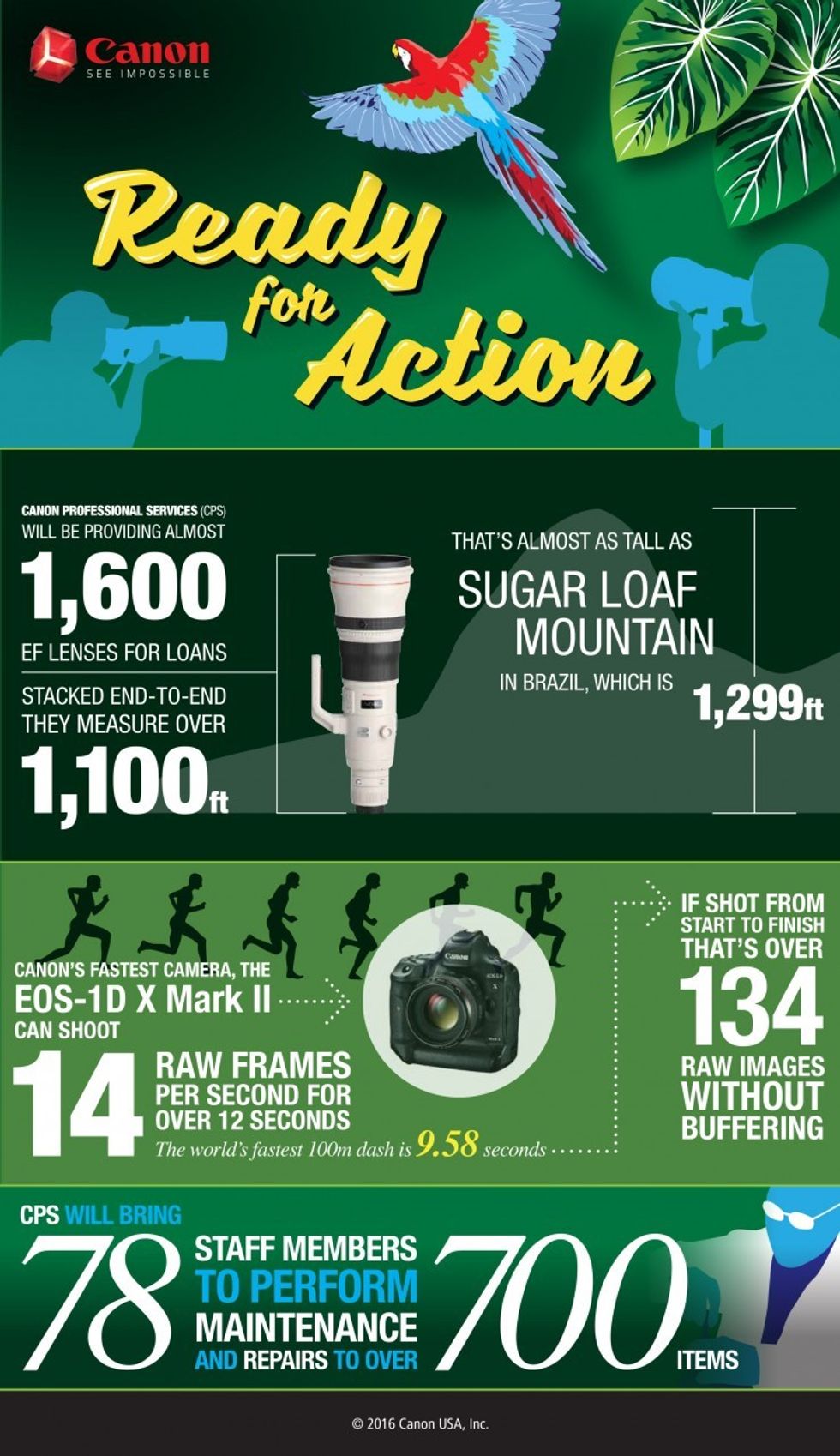 Cam-12132-summer-olympic-infographic_final