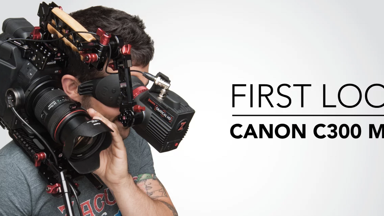 Canon C300 Mark II Zacuto First Look