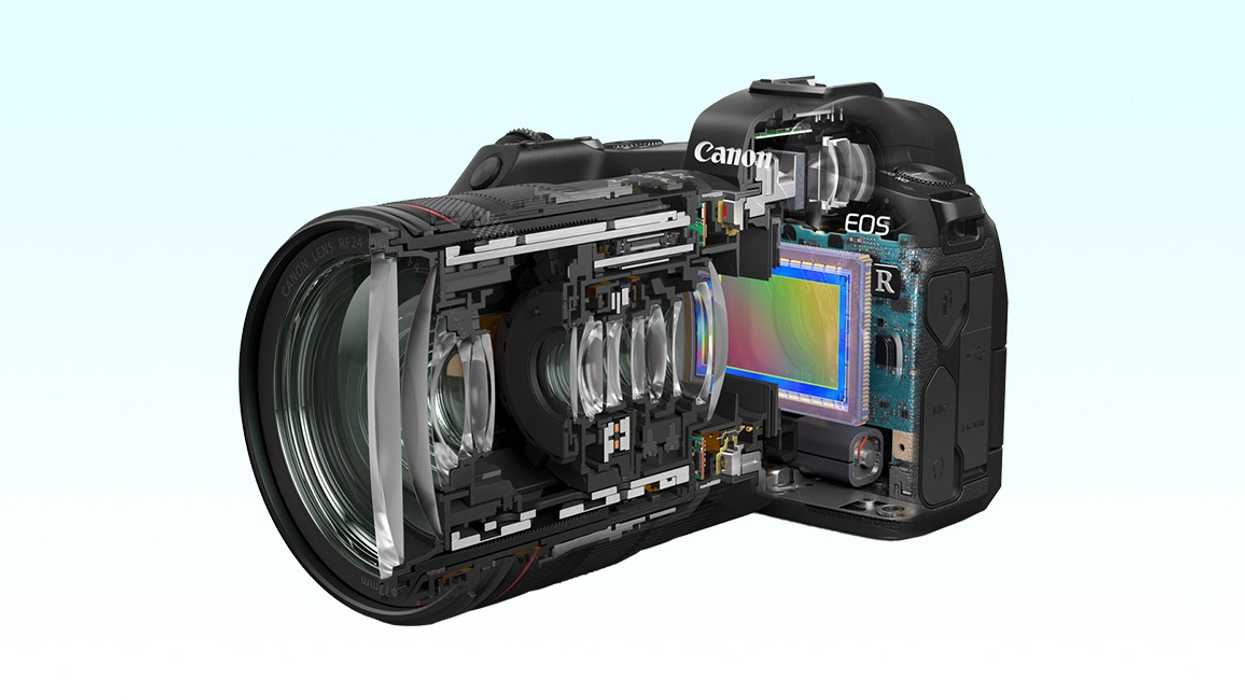 Canon EOS R1 camera cut in half on a light blue background.