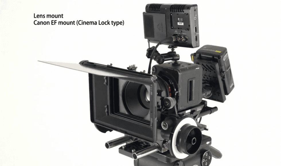 Canon ME20F-SH Footage 2