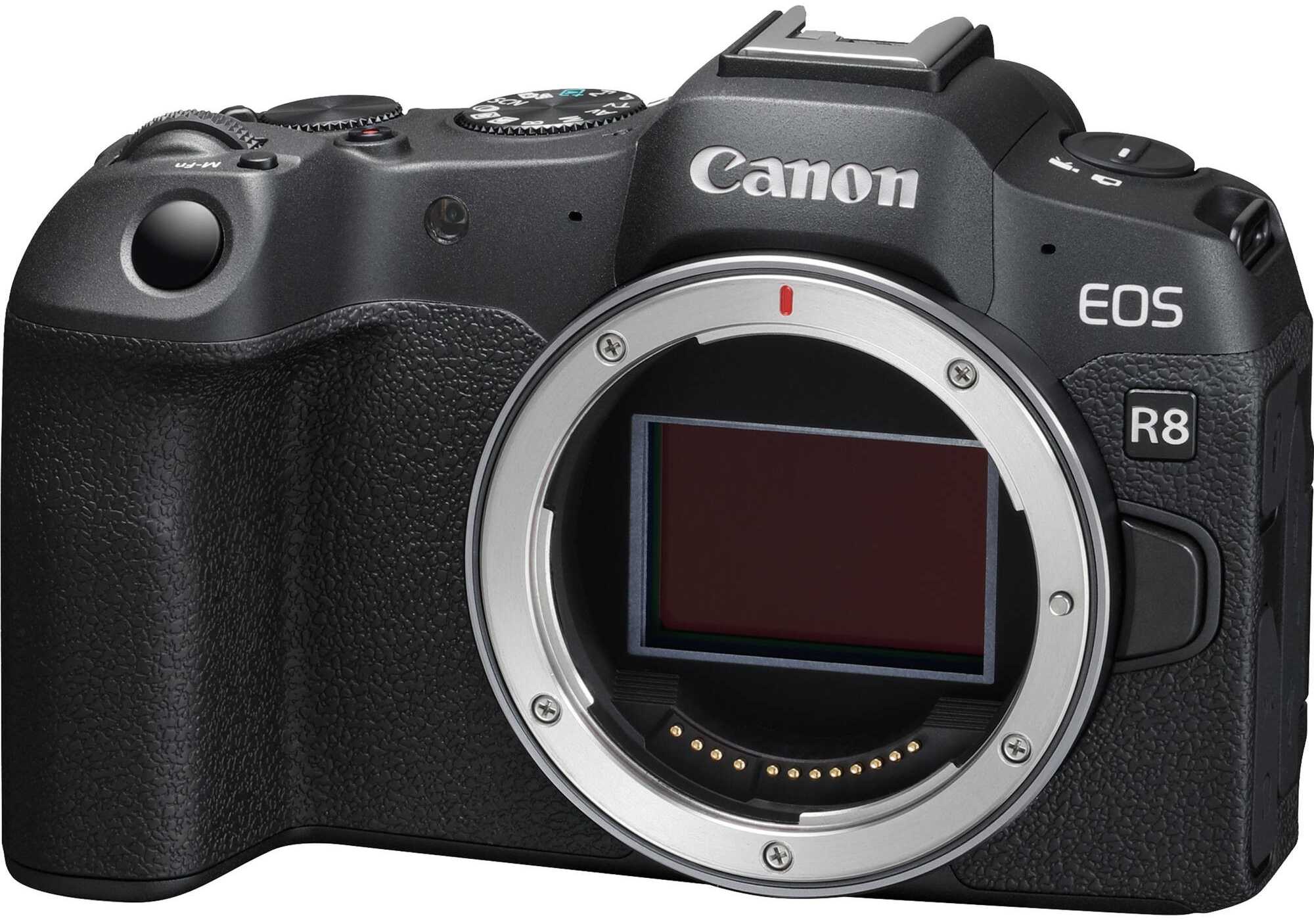 Canon R8 Firmware Update v1.1.0