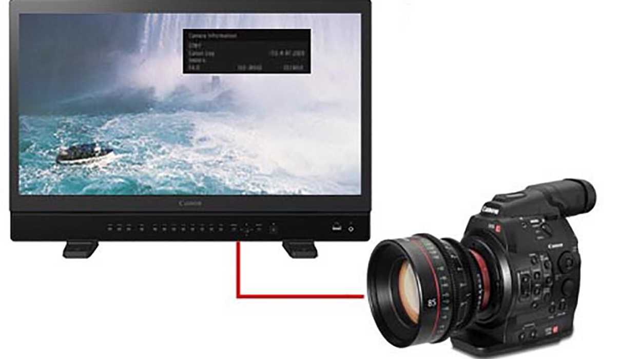 Canon reference monitor