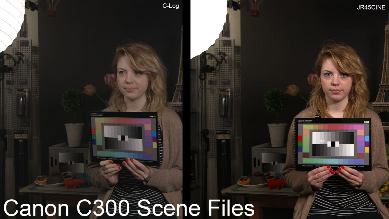 Canonc300scenefiles