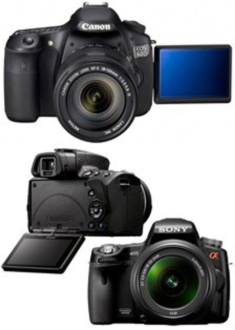 Canonsony