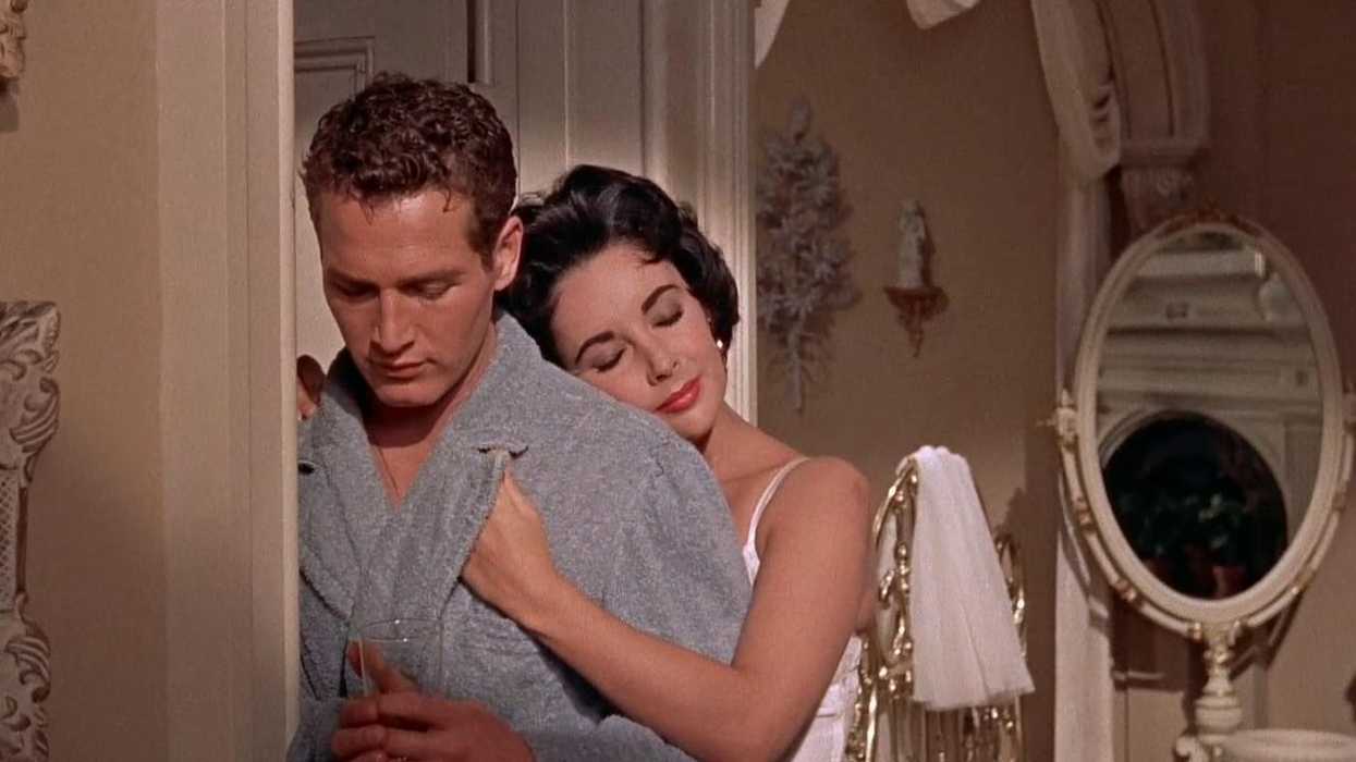 'Cat on a Hot Tin Roof'