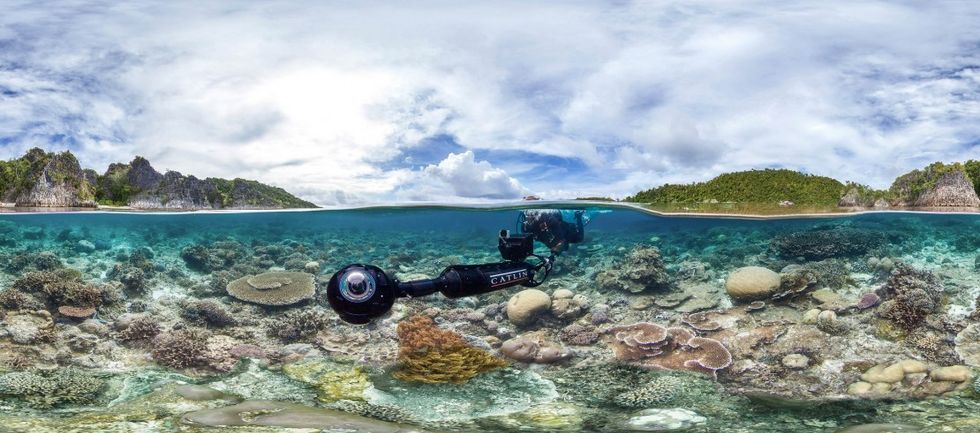 Chasing_coral_2