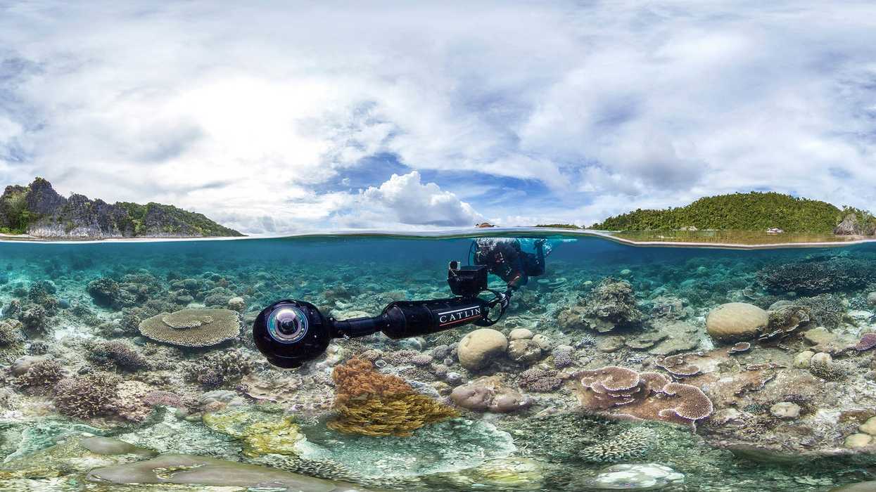 Chasing_coral_2