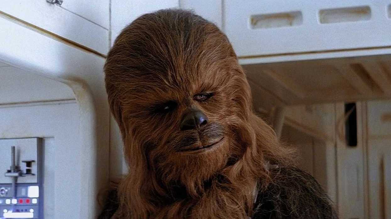Chewbacca, portrayed by actor Peter Mayhew in the original Star Wars trilogy