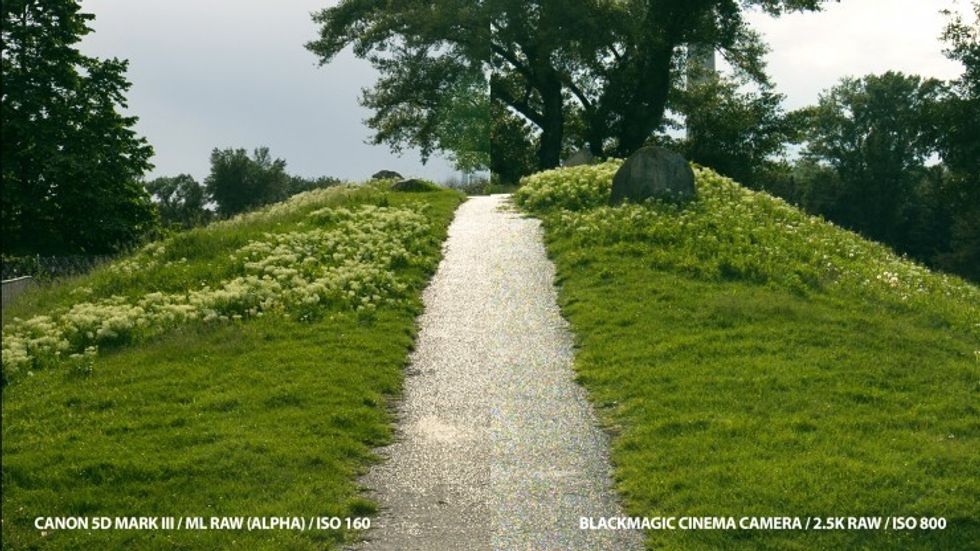 Cinema5d_5d_mark_iii_bmcc