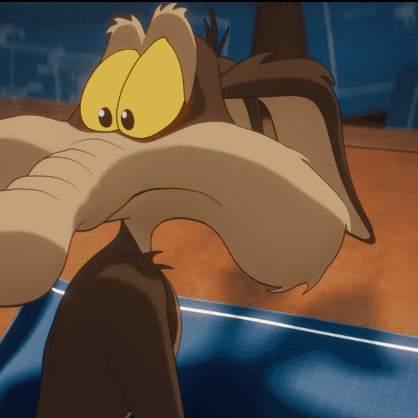 'Coyote vs. ACME'