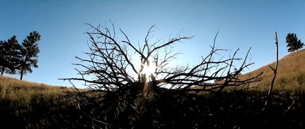Croppercapture4