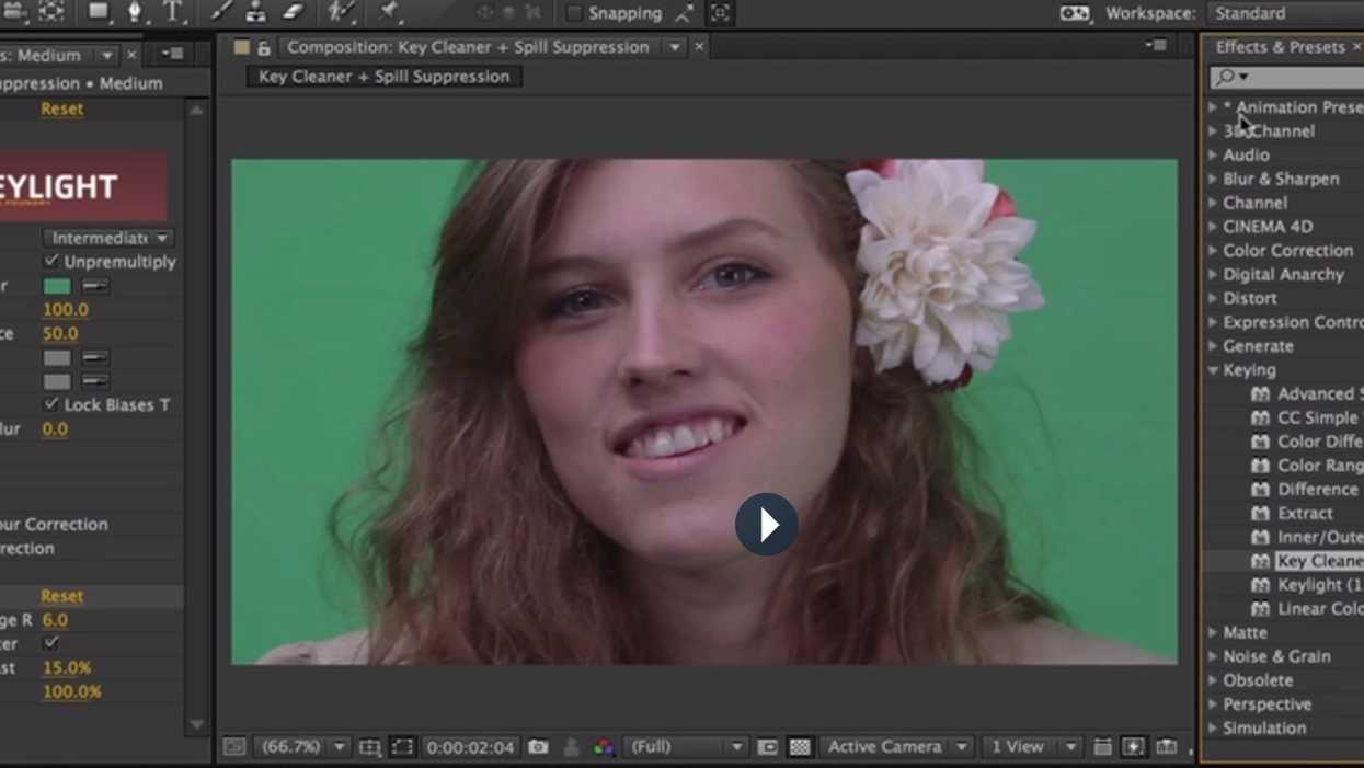 Croppercapture47