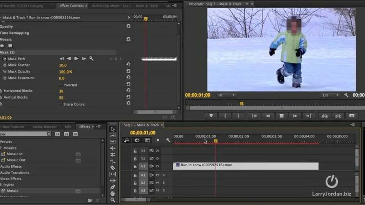 Croppercapture83