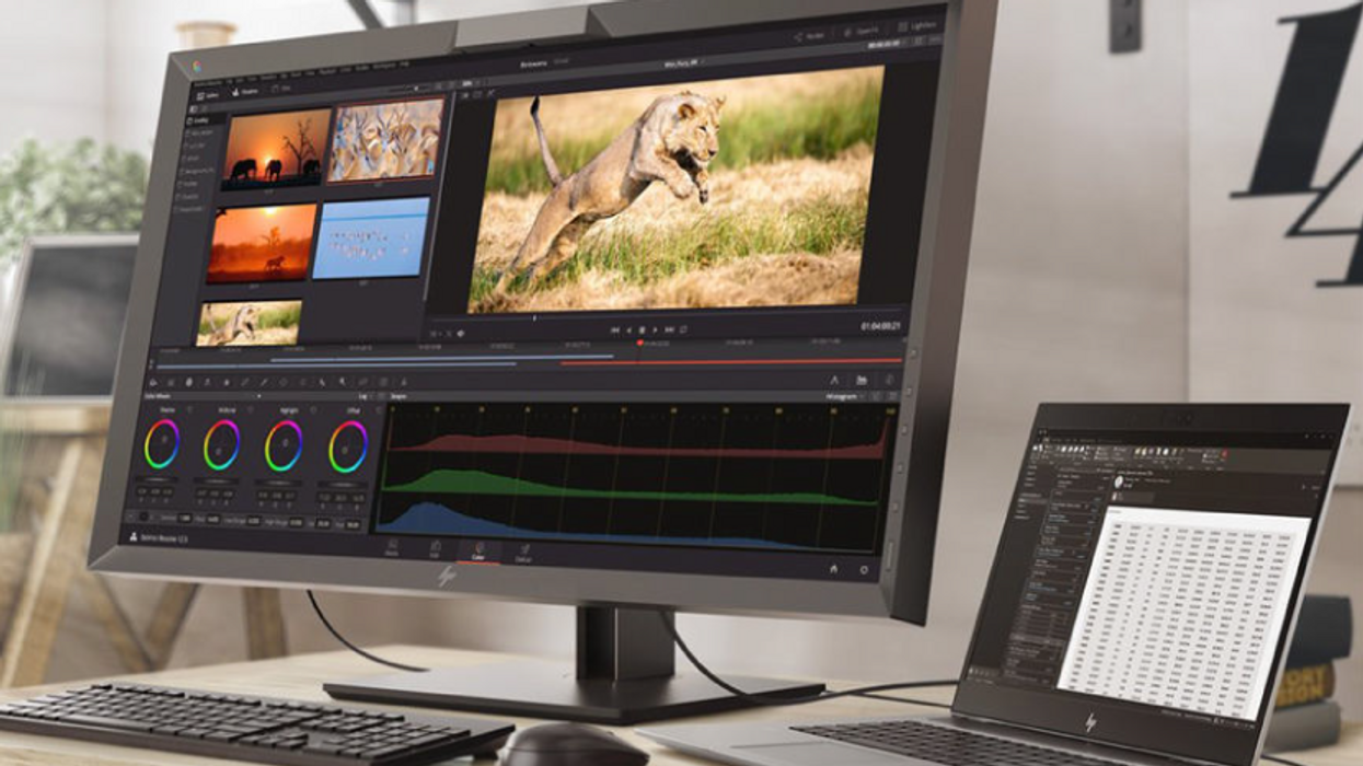 These Are the Best HP Z Monitors for Creative Content