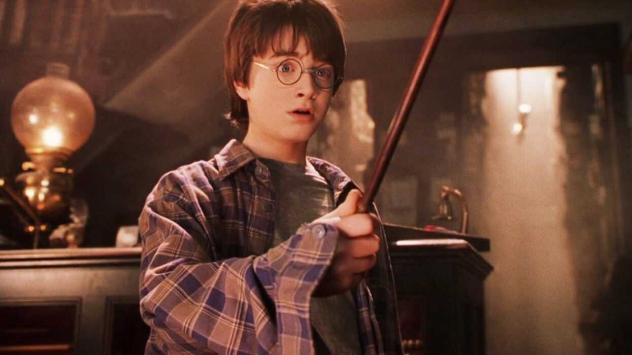 Daniel Radcliffe as Harry Potter
